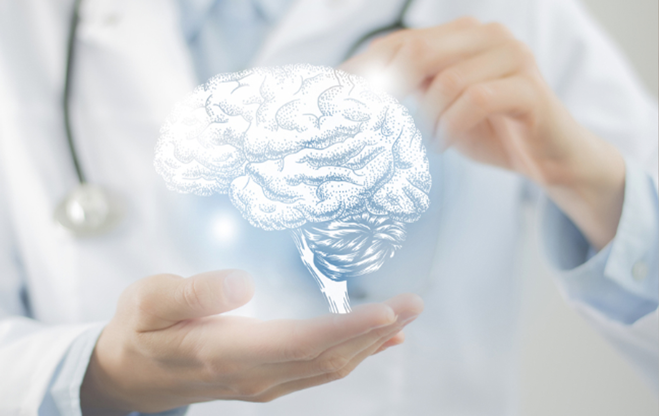 the brain Living with Epilepsy